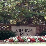 Homes in Virginia Run